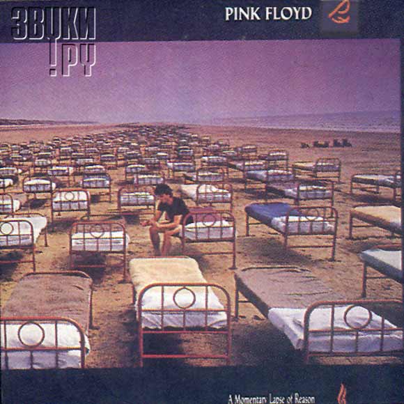 ОБЛОЖКА: A Momentary Lapse Of Reason