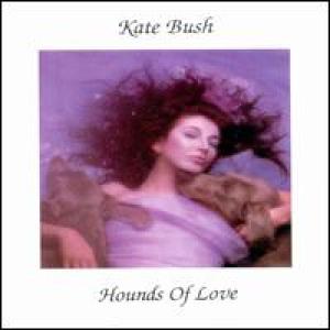 COVER: Hounds of Love