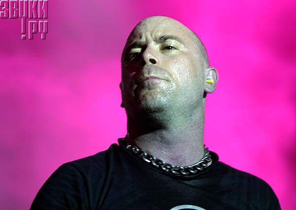 Живучий штамм