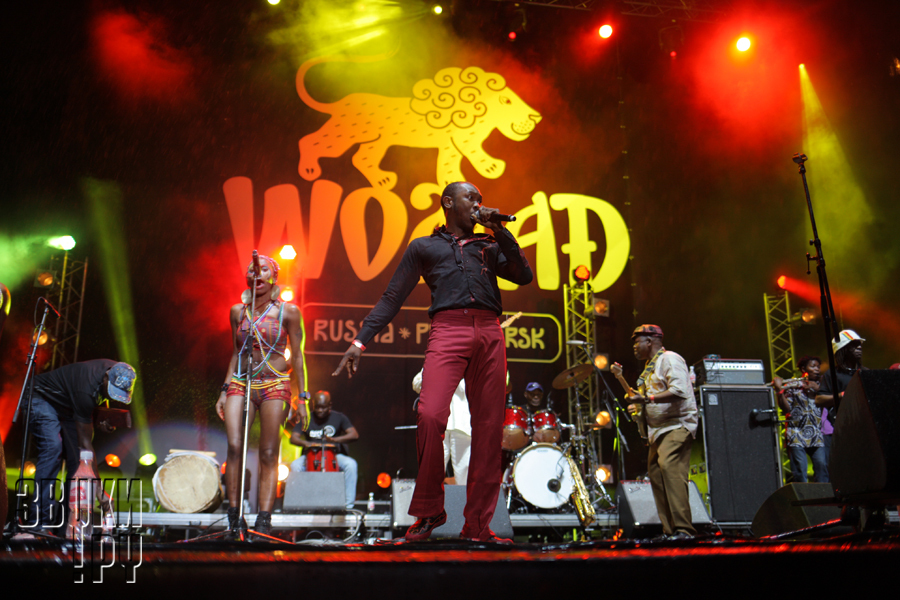 Womad Festival