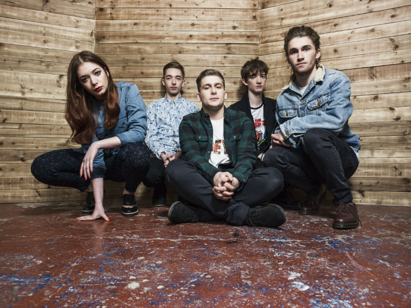 MARMOZETS