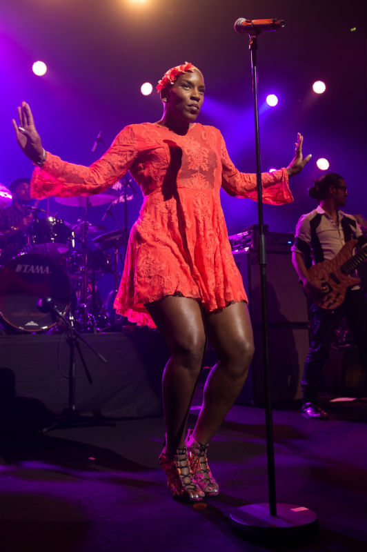 LIV WARFIELD AND THE NPG HORNZ