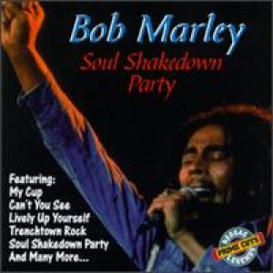 COVER: Soul Shakedown Party