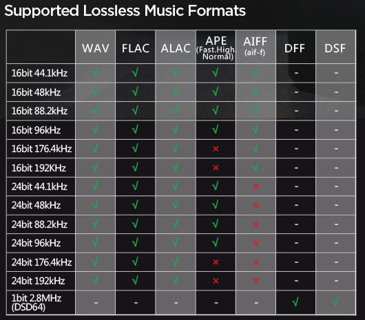 HIFIMAN SUPERMINI Форматы