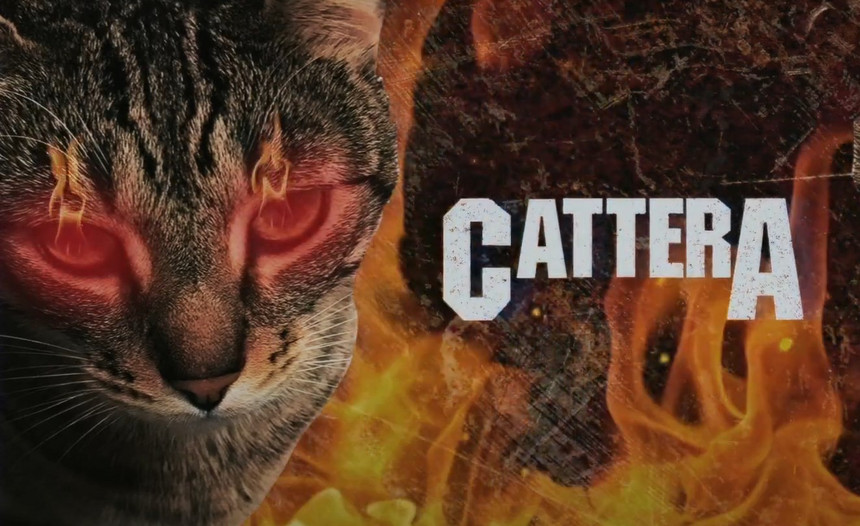 Cattera